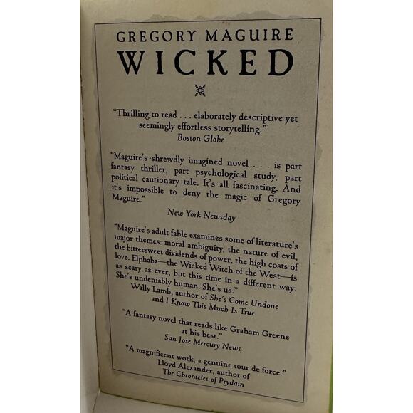 2007 PB Wicked Gregory Maguire Wicked Witch of the West OZ Sprayed Green edges - Picture 6 of 8